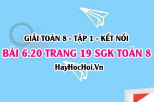 Bài 6.20 trang 19 Toán 8 Tập 2 Kết nối tri thức